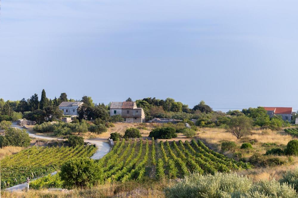 Komiža Holiday Home Burba מראה חיצוני תמונה