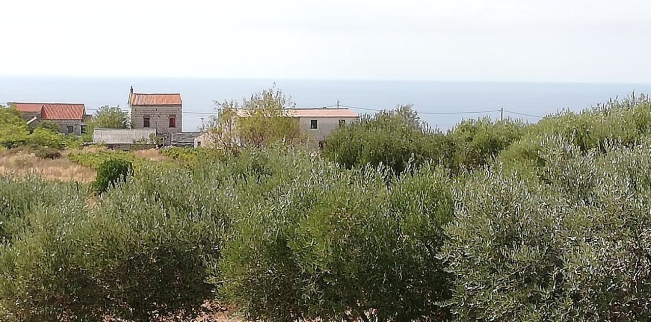 Komiža Holiday Home Burba מראה חיצוני תמונה